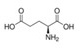 L-谷氨酸	